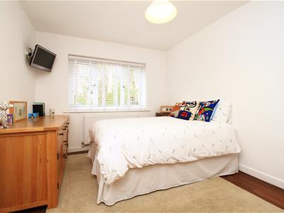 Picture 15